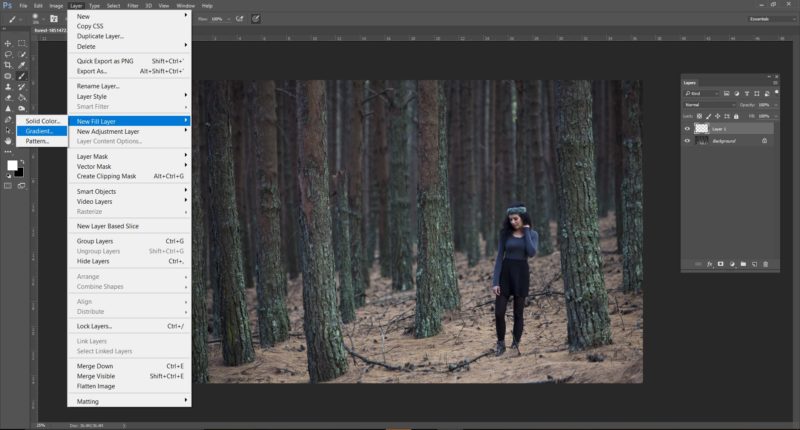 Photoshop с фотографией леса при создании отдельного слоя тумана