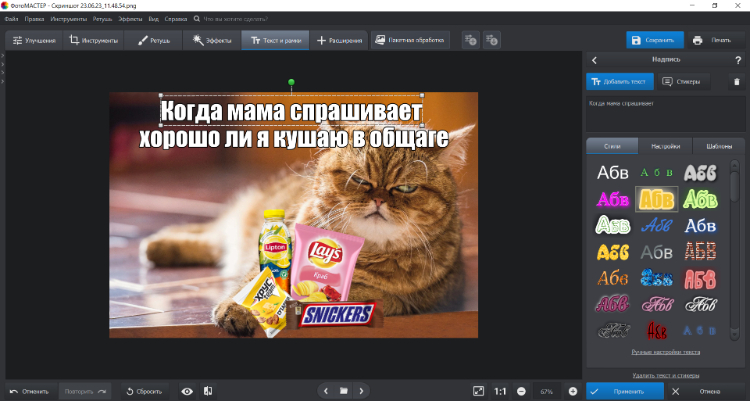 Мем, открытый в рабочем окне ФотоМАСТЕРа