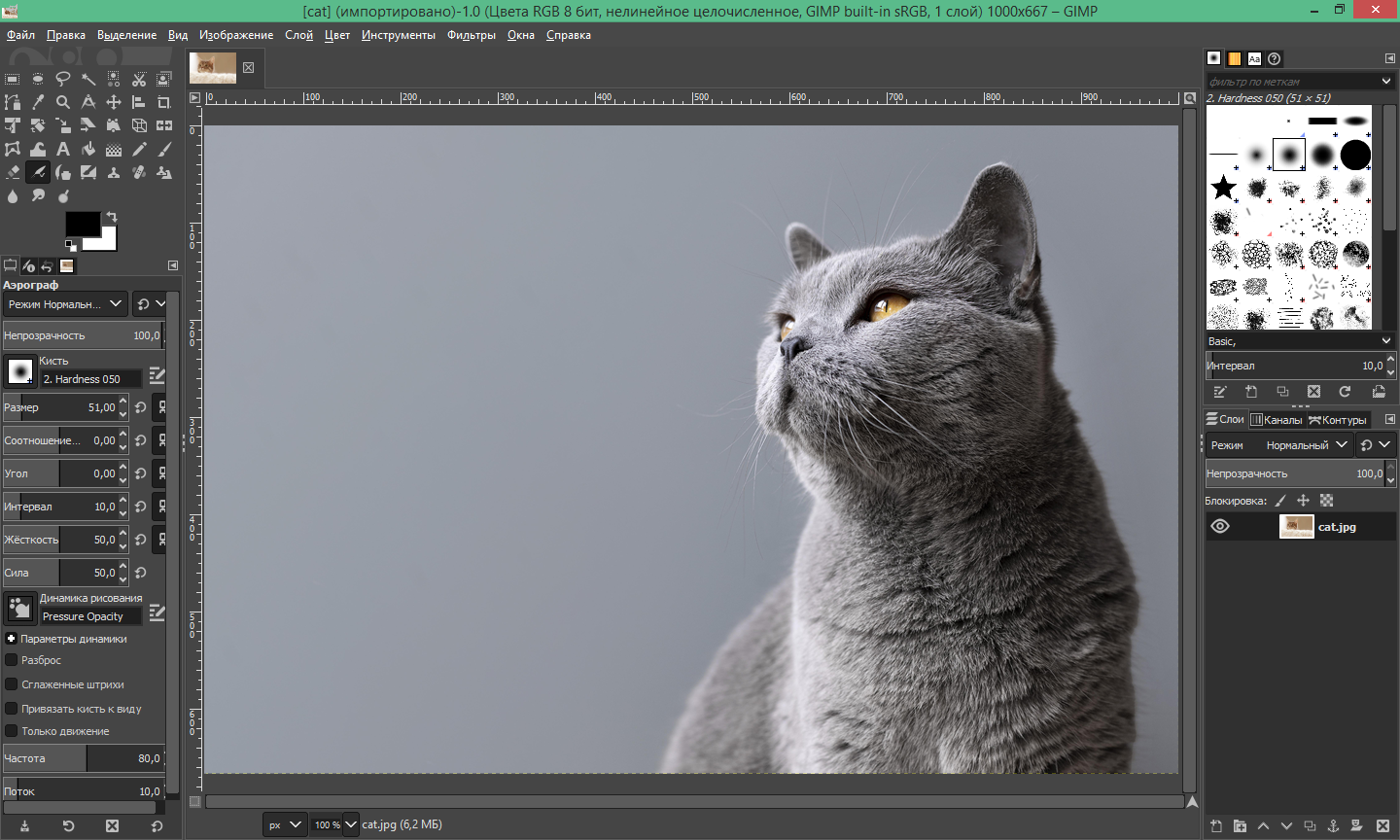 Интерфейс GIMP с открытым изображением