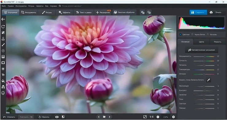 Рабочее окно ФотоМАСТЕРа с фотографией, гистограммой и настройками цвета