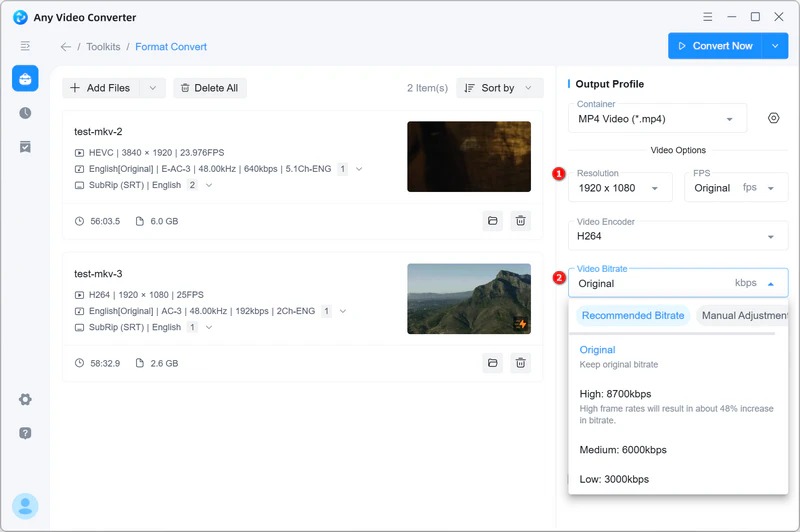 Современный интерфейс Any Video Converter с инструментом Format Convert и настройками вывода