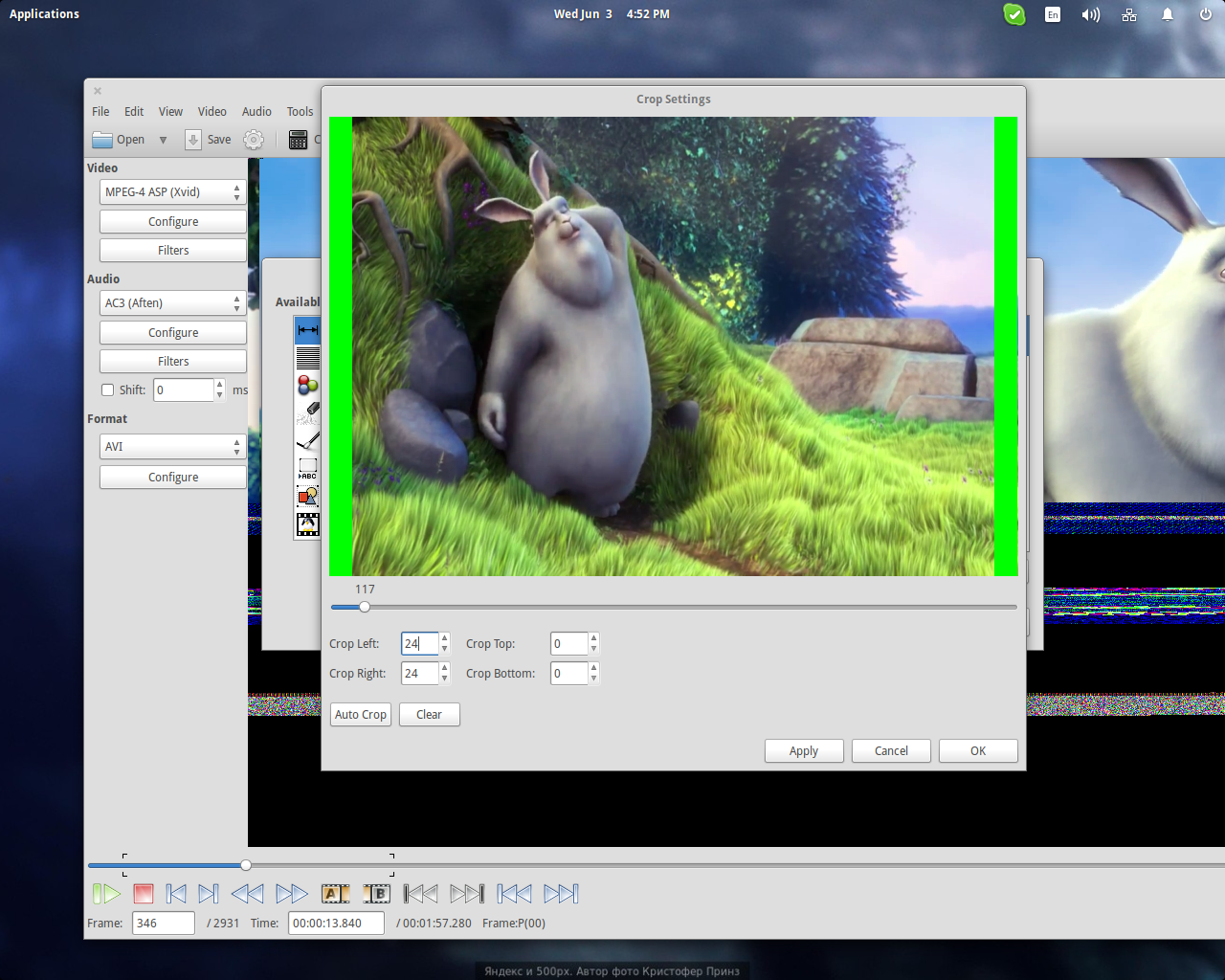 Окно Crop Settings в Avidemux с полями Crop Left, Right, Top и Bottom