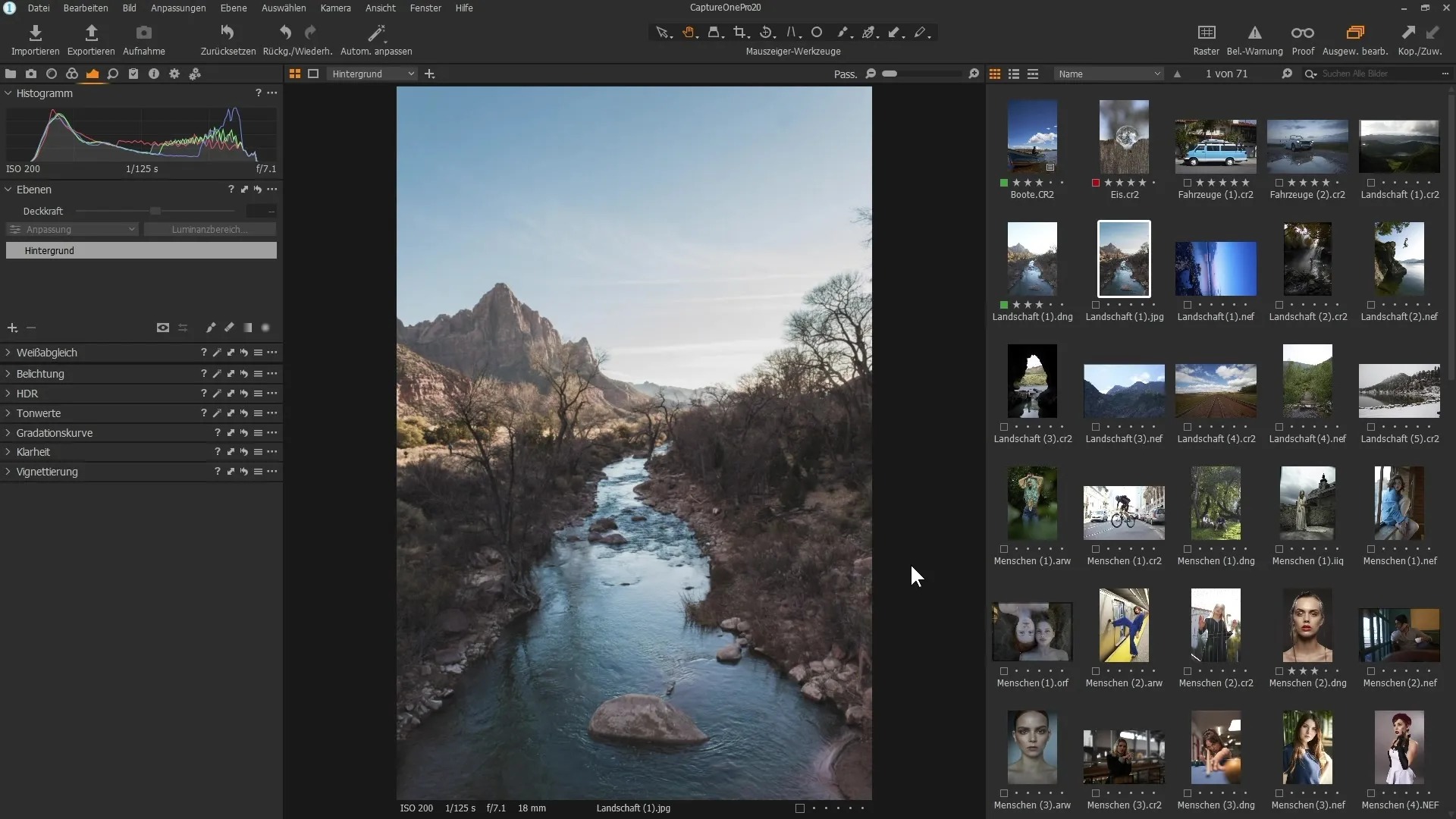 Интерфейс Capture One Pro с просмотрщиком и браузером кадров