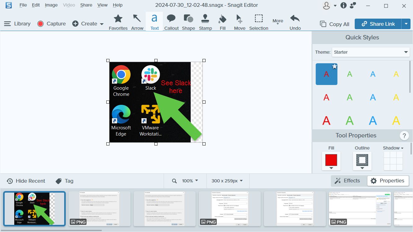 Интерфейс редактора Snagit с захваченным изображением