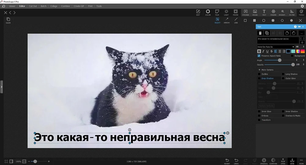Интерфейс PhotoScape X с панелью Text и параметрами надписи