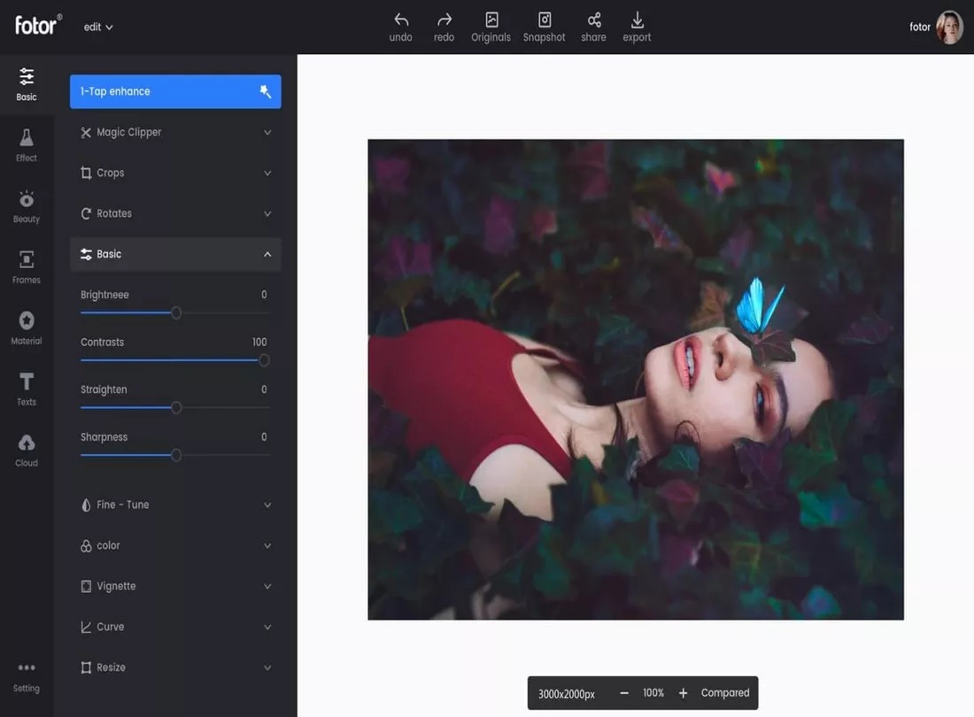 Интерфейс Fotor с фотографией и панелью коррекции