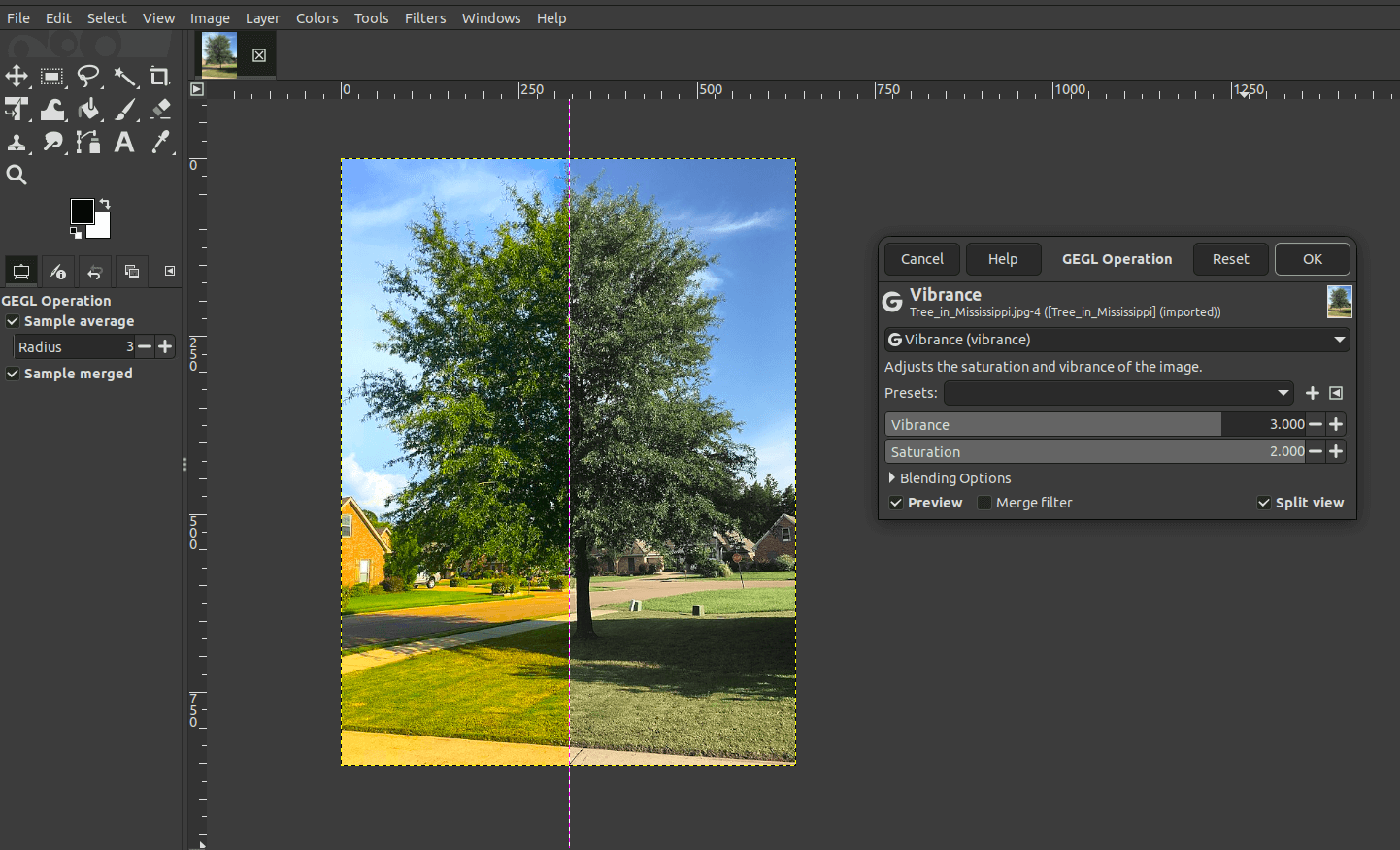 Интерфейс GIMP 3.2 с открытой фотографией и настройкой Vibrance