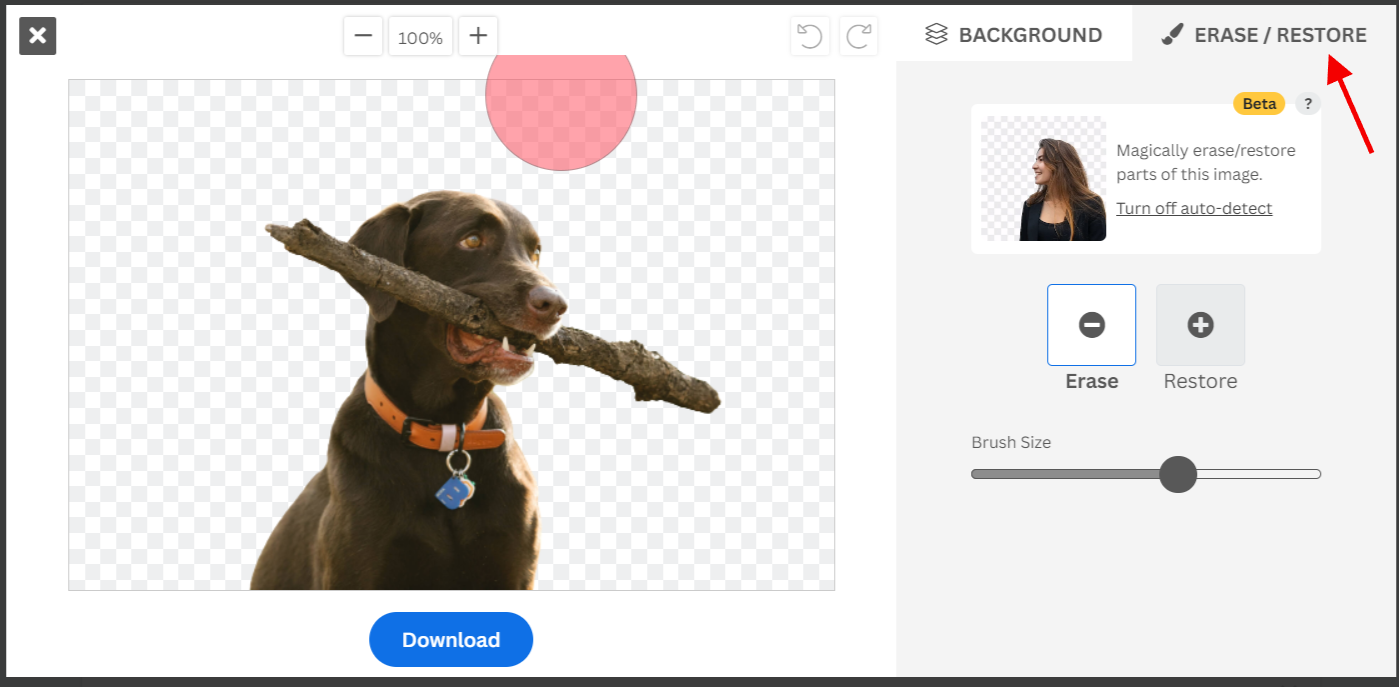 Magic Brush в remove.bg для удаления и восстановления частей вырезанного объекта