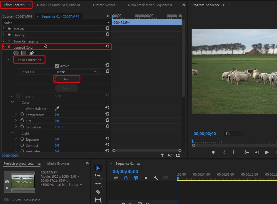 Панель Lumetri Color в Adobe Premiere Pro с базовыми настройками света