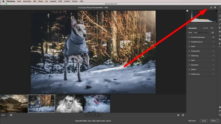 Сохранение RAW в JPEG через Adobe Photoshop и Camera Raw