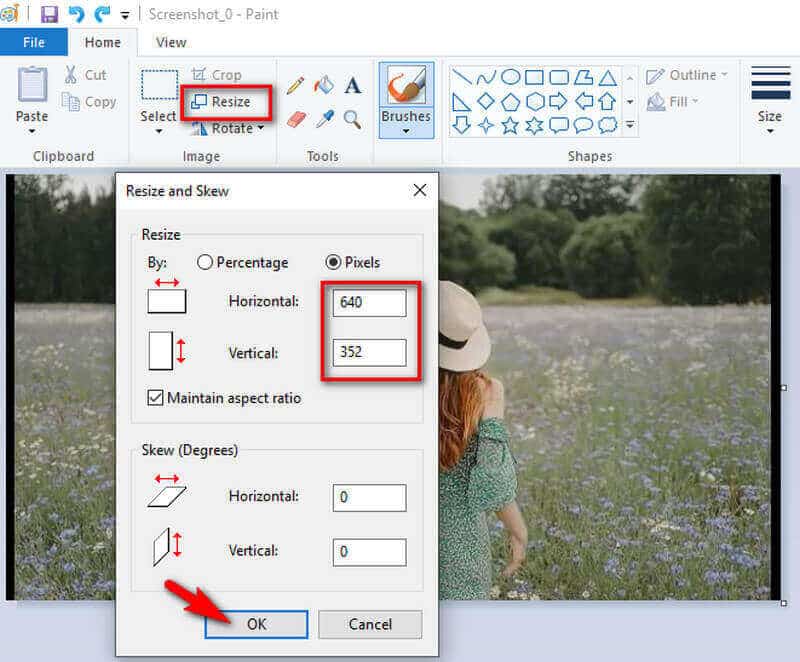 Диалог Resize and Skew в Microsoft Paint с полями Percentage, Pixels и Maintain aspect ratio