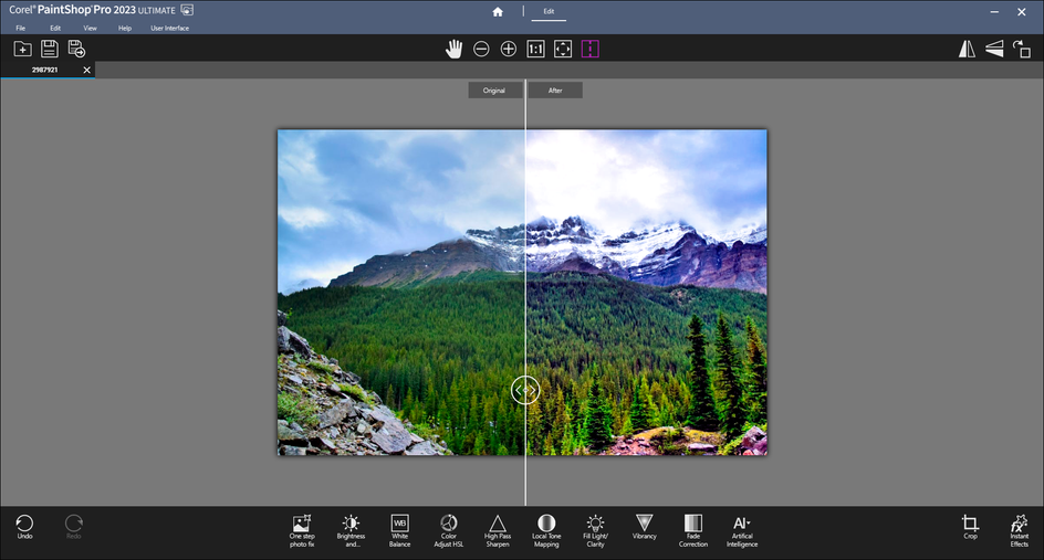 Интерфейс Corel PaintShop Pro с редактированием фотографии