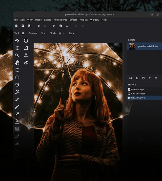 Тёмное рабочее окно Pinta с фотографией, слоями и историей действий