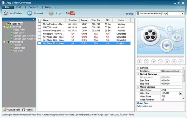Интерфейс Any Video Converter с очередью файлов и параметрами конвертации
