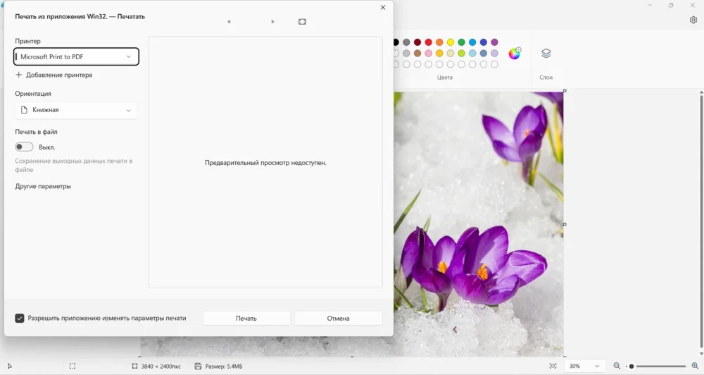 Рабочее окно Paint.NET