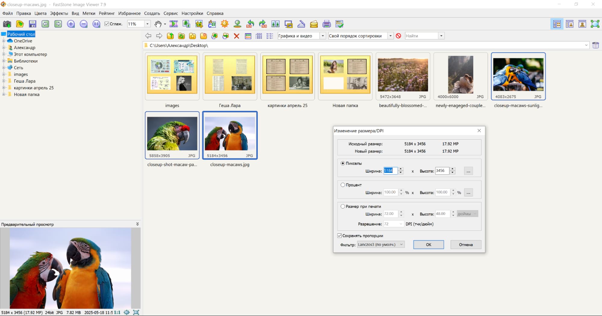 Интерфейс FastStone Image Viewer с миниатюрами фотографий и окном просмотра