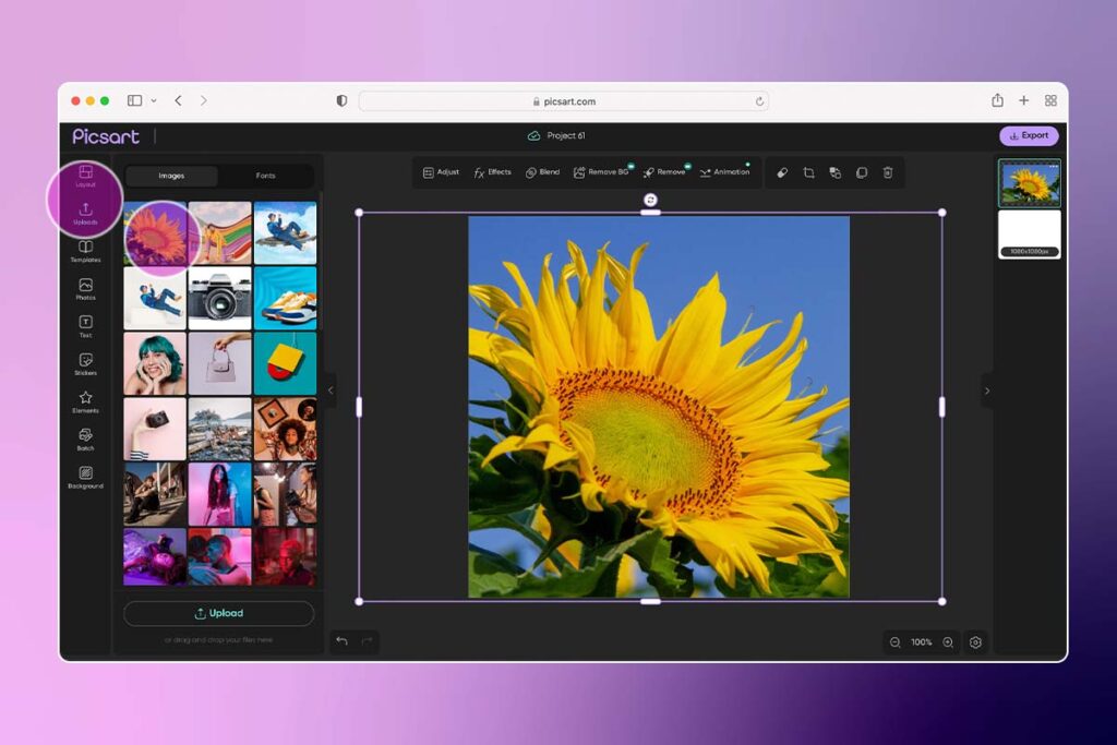 Веб-интерфейс Picsart с фотографией и панелью ресурсов