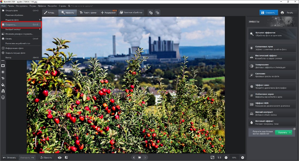 Рабочее окно ФотоМАСТЕР с открытой фотографией и панелью эффектов