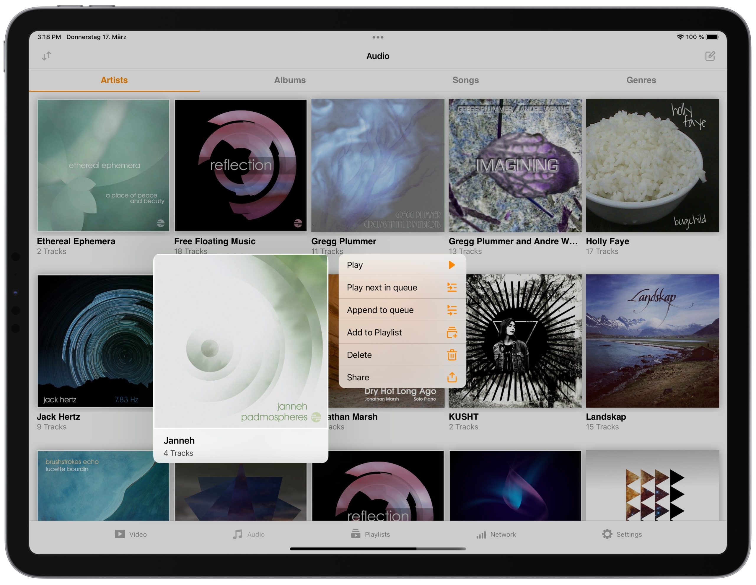 Медиатека VLC на iPad с разделами Video, Audio, Playlists, Network и Settings