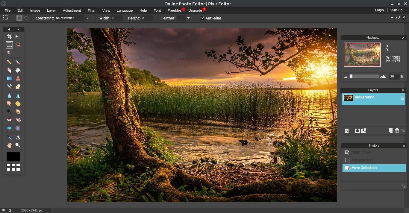 Интерфейс Pixlr Editor со слоями, историей и фотографией на холсте