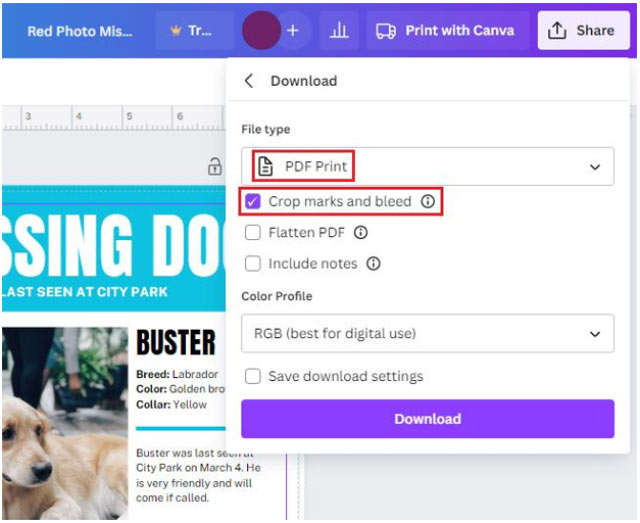 Окно скачивания Canva с выбором формата печатного PDF