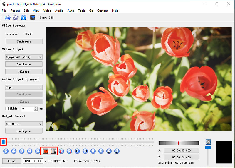 Окно Avidemux с настройками Video Output, Audio Output и Output Format