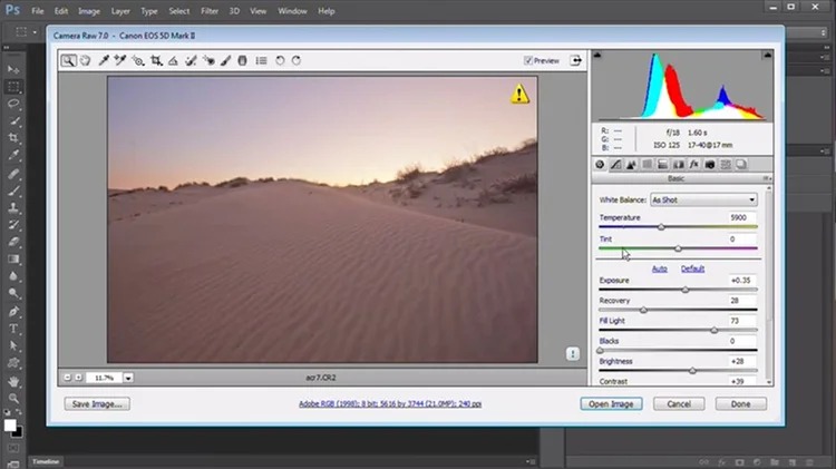 Окно Adobe Camera Raw, открытое поверх Photoshop