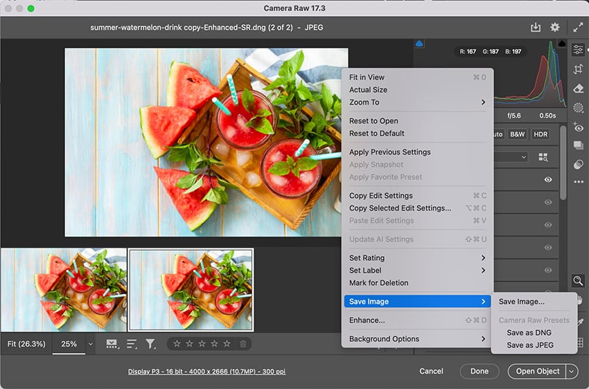Интерфейс Adobe Camera Raw с командой Save Image