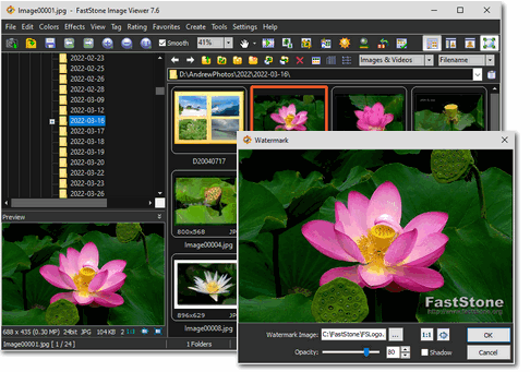 Интерфейс FastStone Image Viewer с деревом папок, миниатюрами и окном фотографии