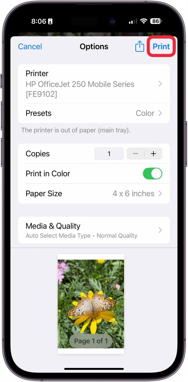 Экран AirPrint на iPhone с выбранным принтером, количеством копий и кнопкой Print