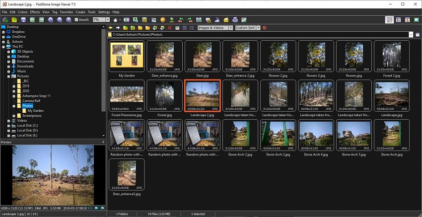 Главное окно FastStone Image Viewer с папками, миниатюрами и предпросмотром фотографии