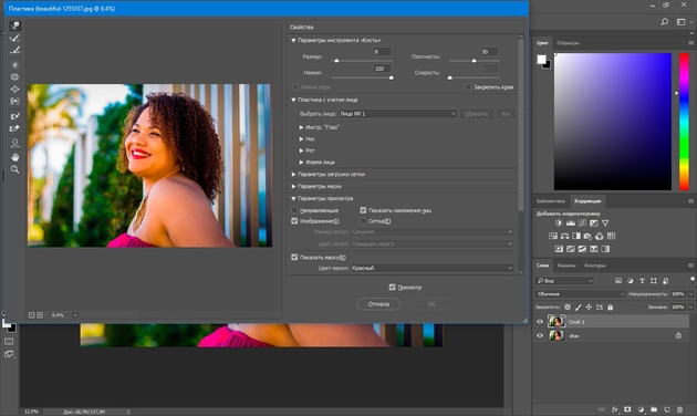 Окно фильтра Пластика в Adobe Photoshop при коррекции формы подбородка