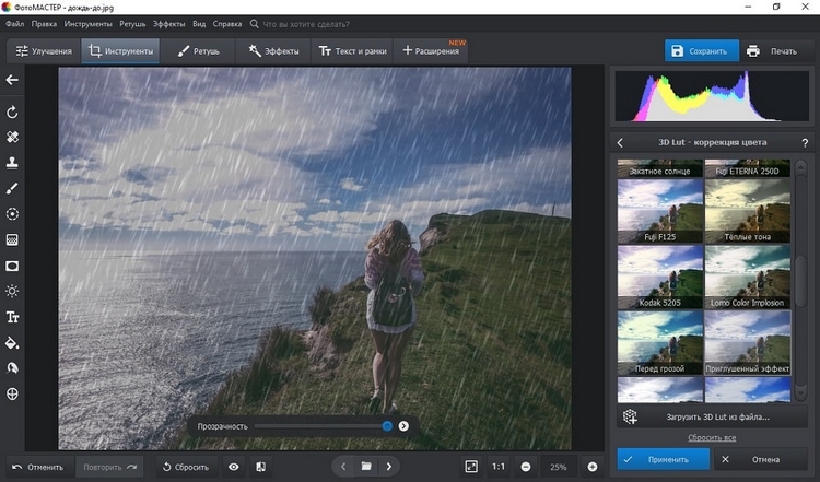 Окно 3D LUT в ФотоМАСТЕРе с приглушённой цветокоррекцией дождливого кадра