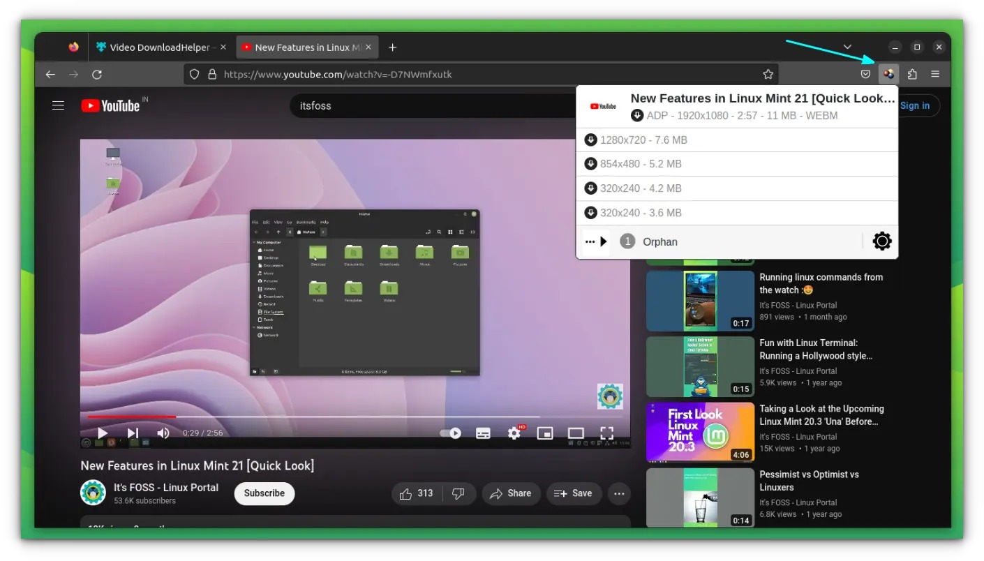 Панель Video DownloadHelper в Firefox со списком найденных вариантов видео