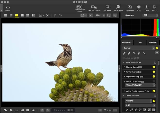 Файл DSC_7868.NEF открыт в интерфейсе Nikon NX Studio