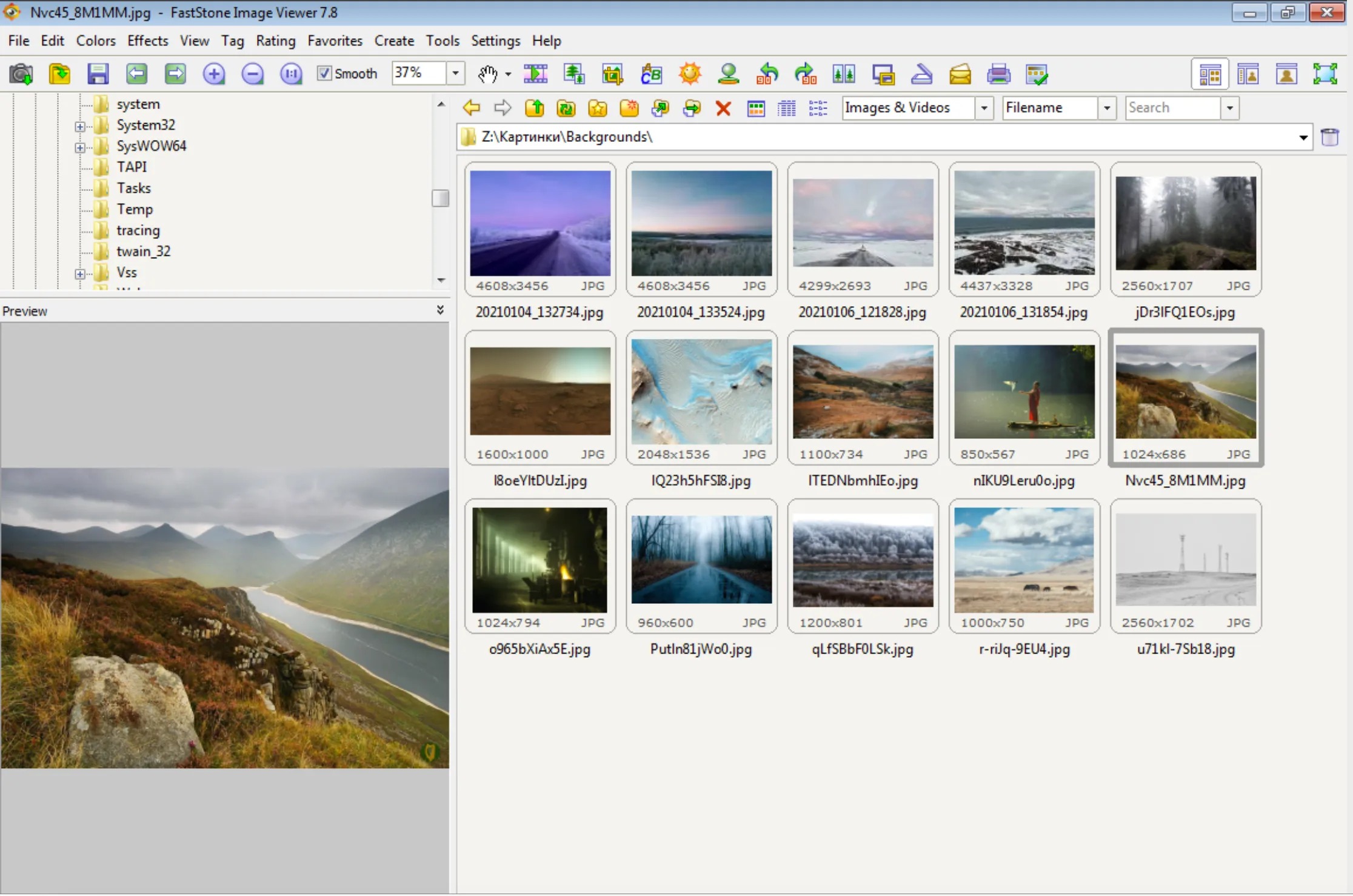 Интерфейс FastStone Image Viewer с деревом папок и сеткой миниатюр