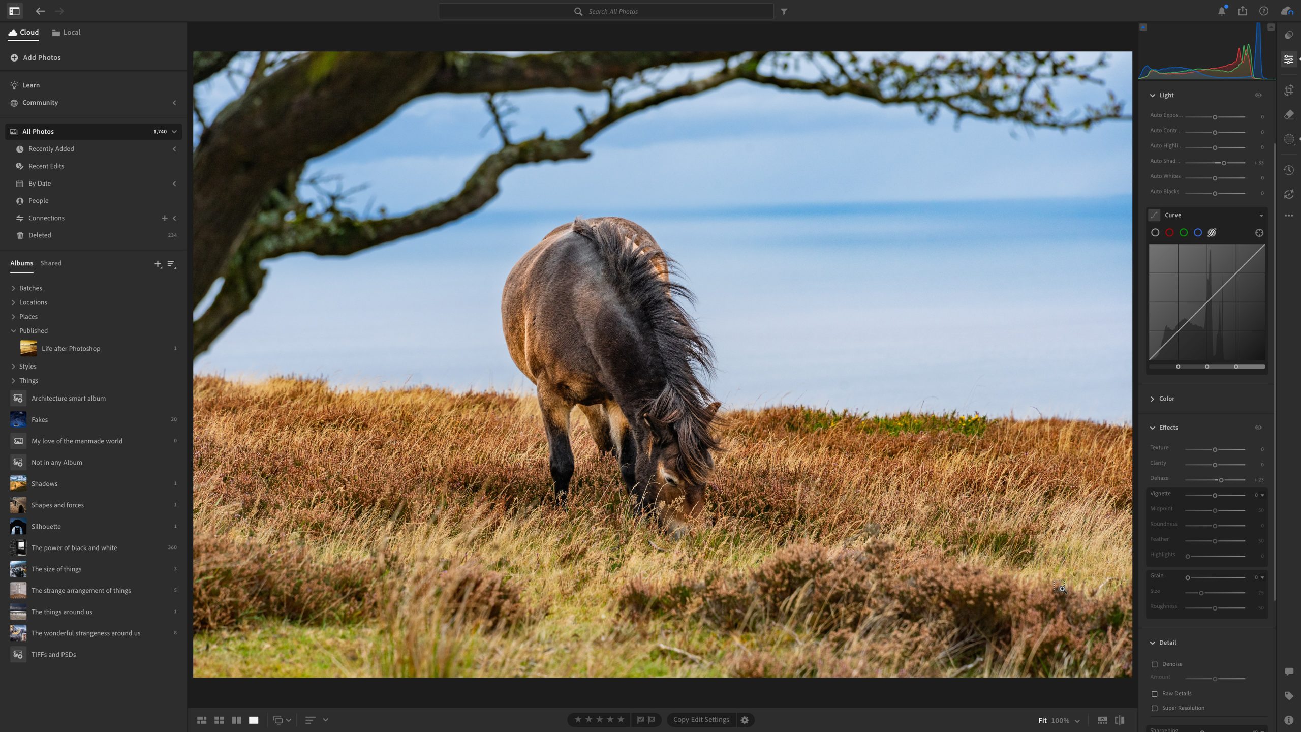 Интерфейс Adobe Lightroom с фотографией, гистограммой, панелью Light и фототекой