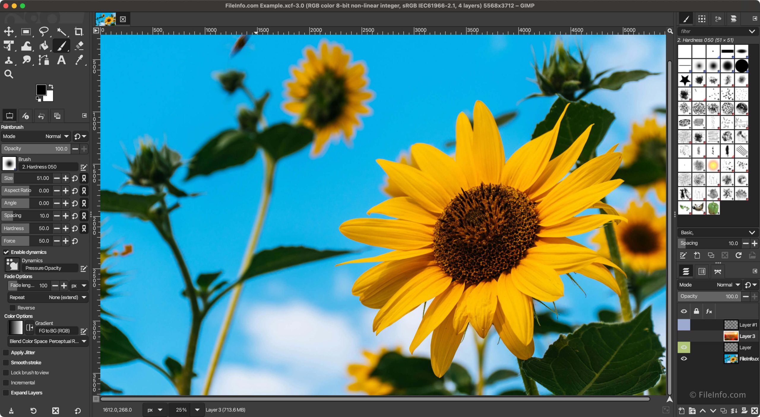 Интерфейс GIMP 3 с фотографией, инструментами и слоями
