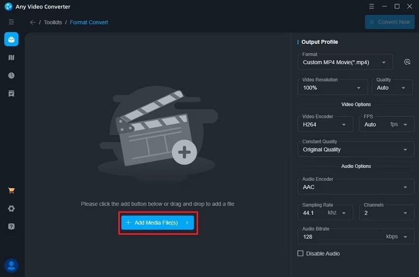 Окно Format Convert в Any Audio Converter с кнопкой добавления медиафайлов