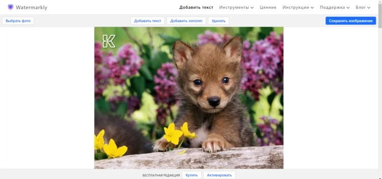 Интерфейс Watermarkly с фотографией и кнопкой добавления логотипа