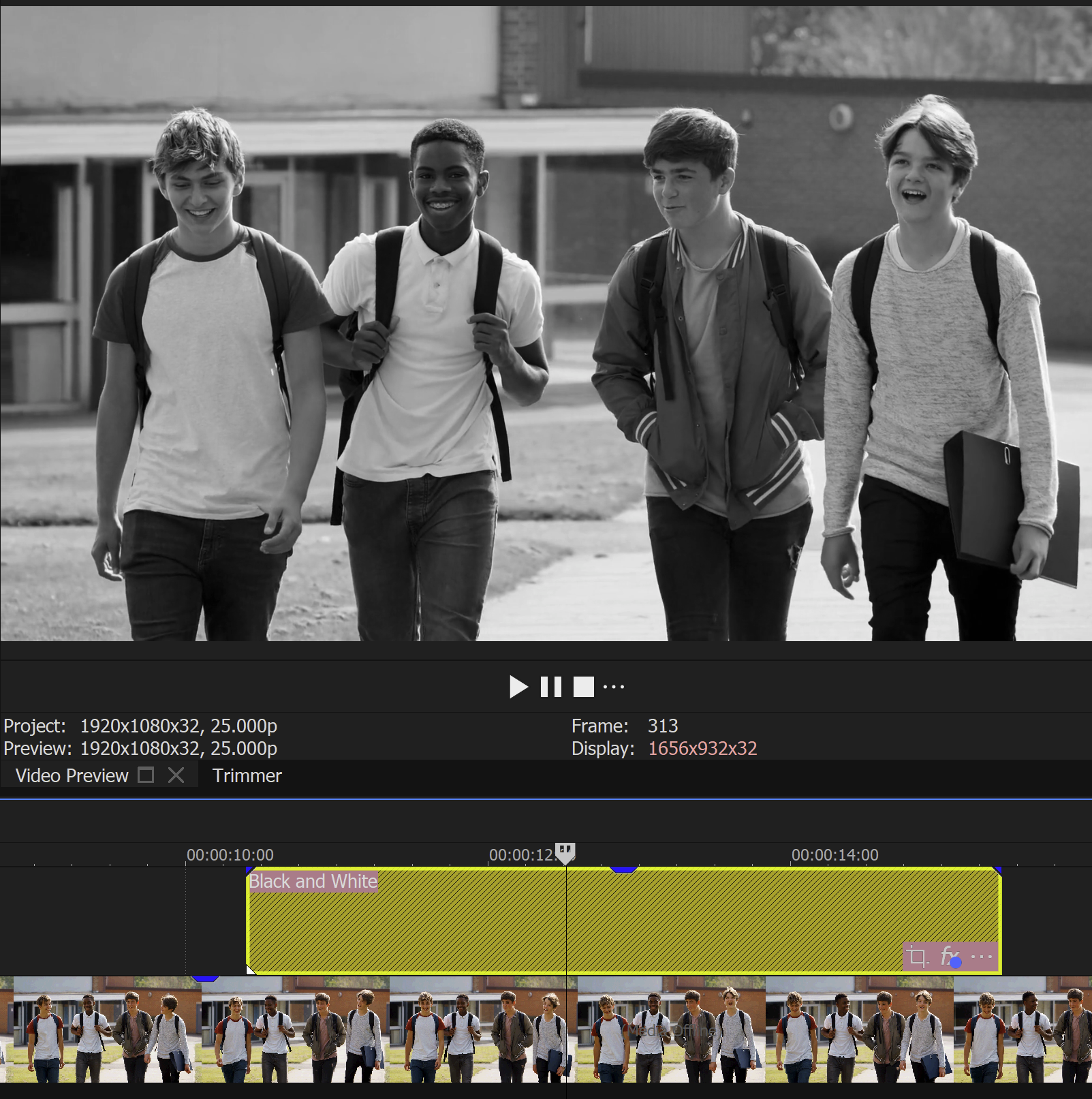 Adjustment Event Black and White в VEGAS Pro
