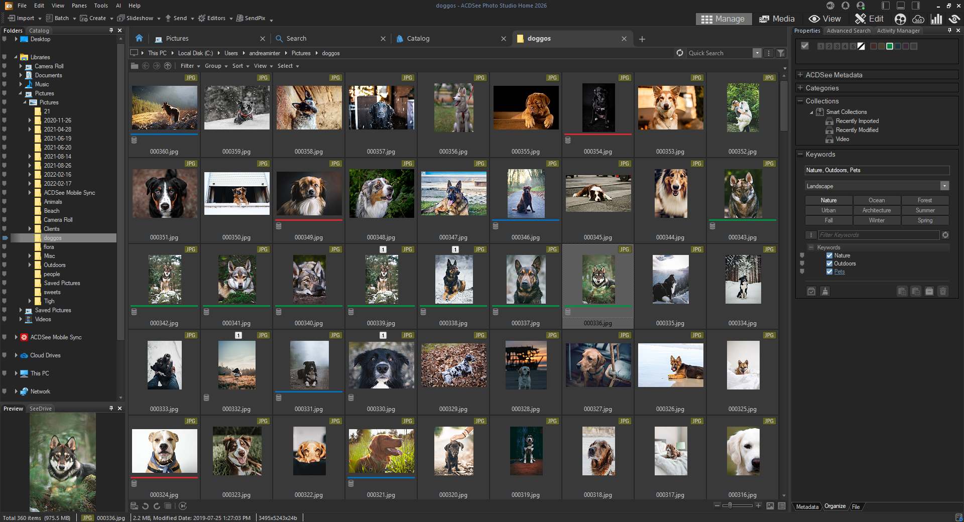Режим Manage в ACDSee Photo Studio Home 2026 с сеткой фотографий