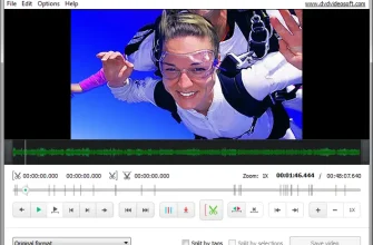 Free Video Dub