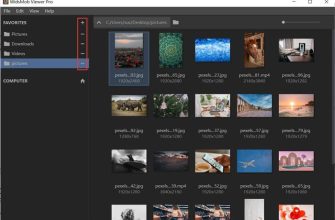 WidsMob Viewer Pro