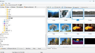 Режим миниатюр WildBit Viewer с сеткой фотографий