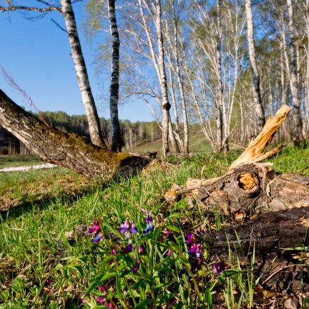 Фотография сделана на sony alpha ilce 7rm5 body