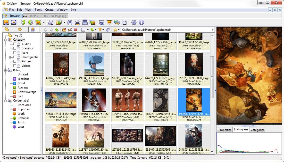 XnView Classic в режиме Browser с деревом категорий, сеткой миниатюр и панелью предпросмотра