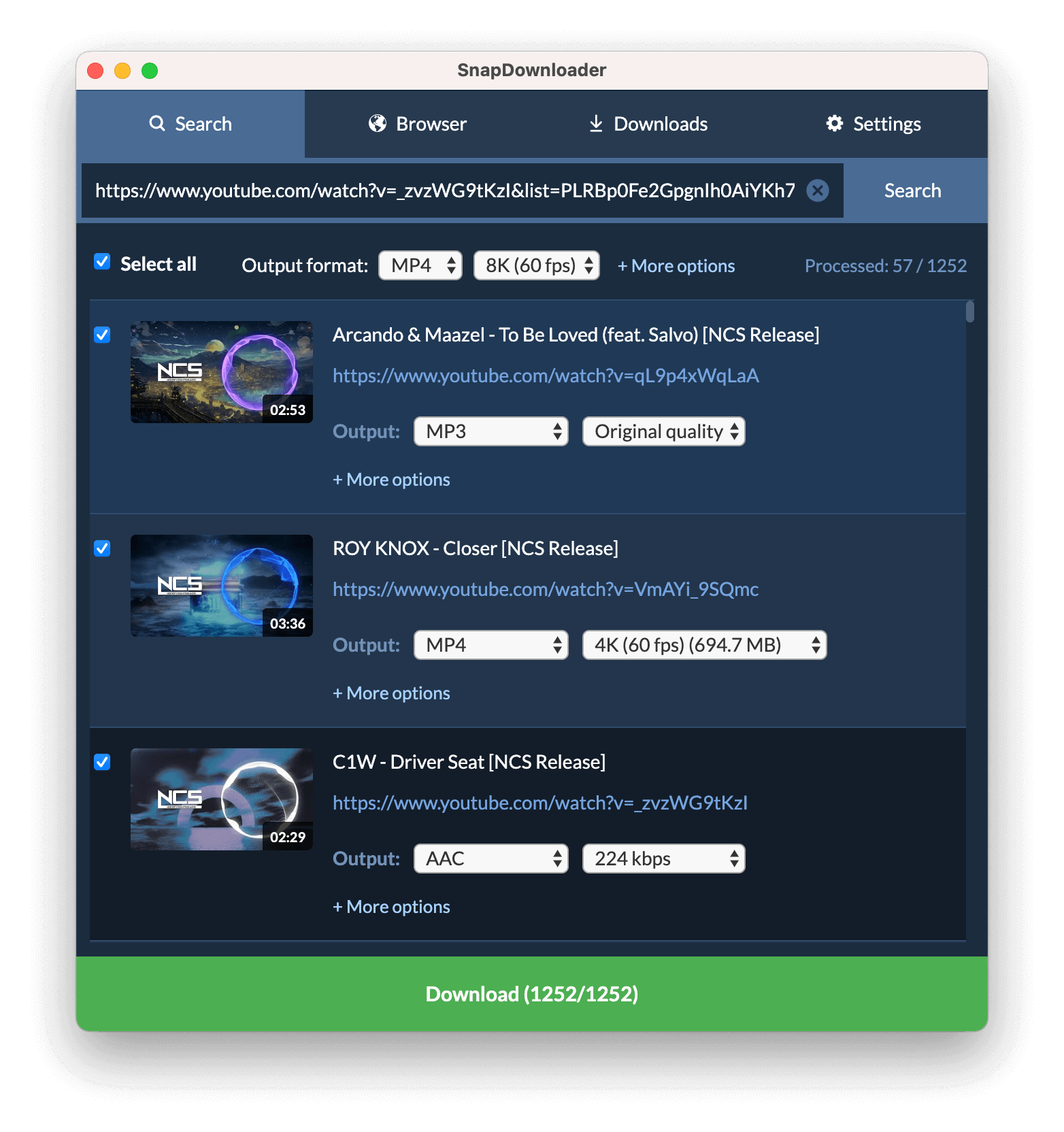 SnapDownloader с разбором YouTube-плейлиста и отдельными настройками элементов
